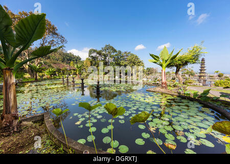 Tirta Gangga ou Tirtagangga water palace, Tirtagangga, Amlapura, Ababi, Bali, Indonésie Banque D'Images