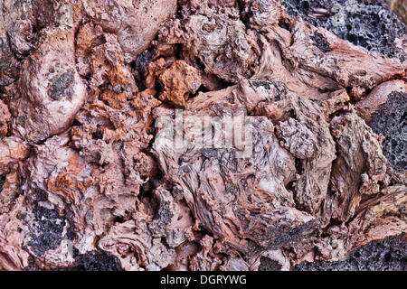 Ropy lava rouge refroidi dans la zone géothermique de Leirhnjukur, une zone de fissures à Krafla volcano, dans le nord de l'Islande, de l'Europe Banque D'Images