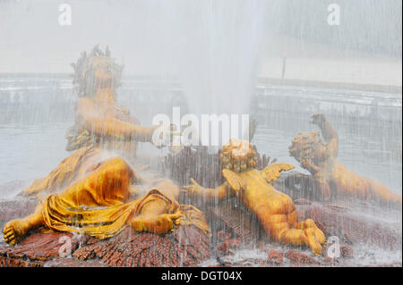 Bassin de Flore, fontaine dans les jardins, Château de Versailles, Versailles, Ile-de-France, France Banque D'Images