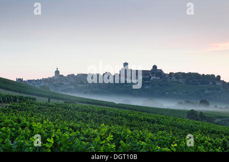 Vue sur la Basilique de Sainte Marie-Madeleine à Vézelay, Bourgogne, département de l'Yonne, France, Europe Banque D'Images