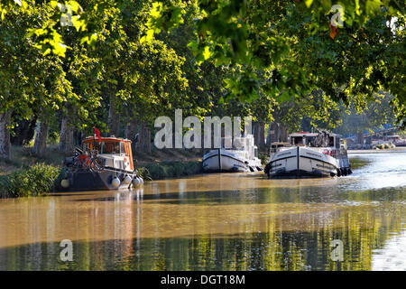 Canal du Midi près de Homps, port et promenade avec restaurants, Carcassonne, Languedoc-Roussillon, Aude, France, Europe Banque D'Images