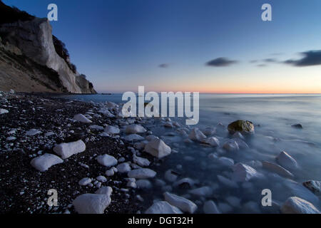 Moens Klint falaises de craie à l'aube, l'île de Moen, Danemark, Europe Banque D'Images