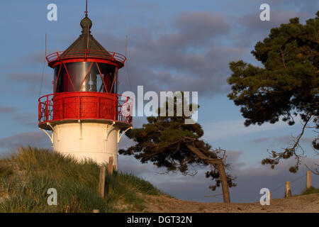 Phare dans l'île de Hiddensee, Neuendorf, Mecklembourg-Poméranie-Occidentale Banque D'Images