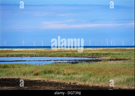 Éoliennes offshore en mer Baltique, réserve naturelle, centre de Prerow, Mecklembourg-Poméranie-Occidentale Banque D'Images