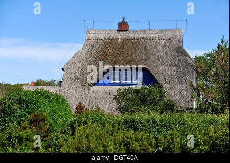 Toit de chaume d'une maison individuelle derrière une haie, Ahrenshoop, Darss, Mecklembourg-Poméranie-Occidentale Banque D'Images