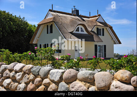 Récent de maison individuelle avec toit de chaume, mur de pierre avec la plantation à l'avant, Ahrenshoop, Darss Banque D'Images