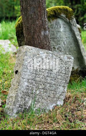 Pierres tombales sur un vieux cimetière juif, construit 1537-1834, Oberer Krankenhausweg street, Leissigen, Middle Franconia, Bavaria Banque D'Images