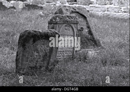 Pierres tombales sur le vieux cimetière juif, construit 1537-1834, Oberer Krankenhausweg street, Leissigen, Middle Franconia, Bavaria Banque D'Images