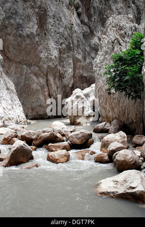 Saklikent Canyon nature park, Esen Cay River Gorge, rock canyon dans l'Ak daglar Akdagi, Montagnes Banque D'Images