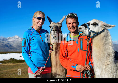 Au cours d'une visite touristique de lama au sommet de la montagne dans le Weibele Boeses Defregger, Groupe, Dolomites de Lienz supérieur Carniques Banque D'Images