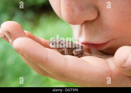 Embrassant l'enfant une grenouille Banque D'Images