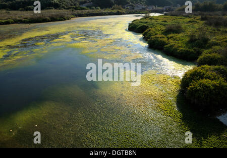 Lagon, Parc naturel de s'Albufera des Grau, Minorque, Iles Baléares, Espagne, Europe Banque D'Images