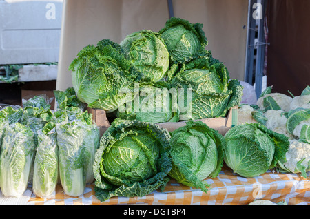 Prêt à vendre à chou marché local Banque D'Images