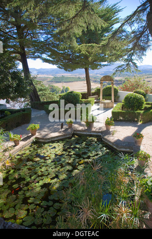 Arbres Plantes de bassin de jardin à Casa del Rey Moro, Ronda, Espagne Banque D'Images