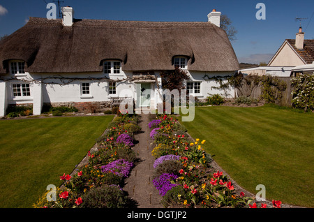 Chalet jardin fleuri avec des frontières en Briantspuddle, Dorset. Banque D'Images