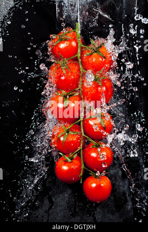 Direction générale des tomates dans les projections d'eau Banque D'Images