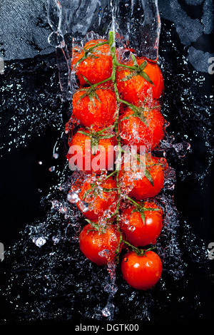 Direction générale des tomates dans les projections d'eau Banque D'Images