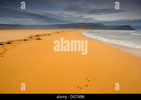 Plage de Raudisandur dans les fjords de l'Ouest, Islande, Europe Banque D'Images