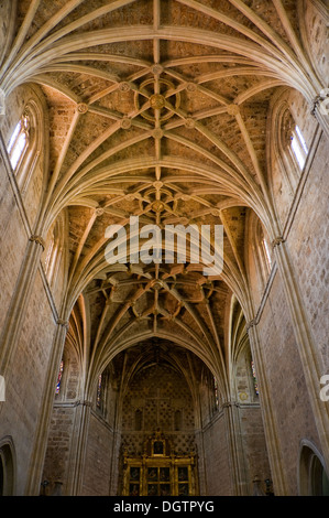 Dôme principal et de l'autel de San Marcos, couvent. Le seizième siècle. Leon, Espagne Banque D'Images