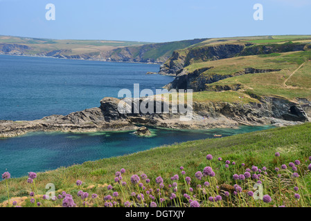 Vue côtière de chemin côtier, Port Gaverne, port Isaac, Cornwall, Angleterre, Royaume-Uni Banque D'Images