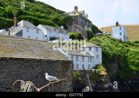 Roscarrock Hill, port Isaac, Cornwall, Angleterre, Royaume-Uni Banque D'Images