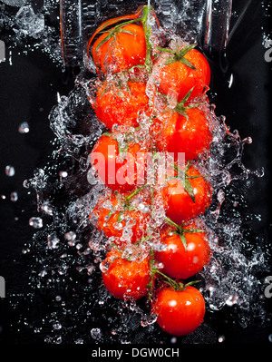 Direction générale des tomates dans les projections d'eau Banque D'Images