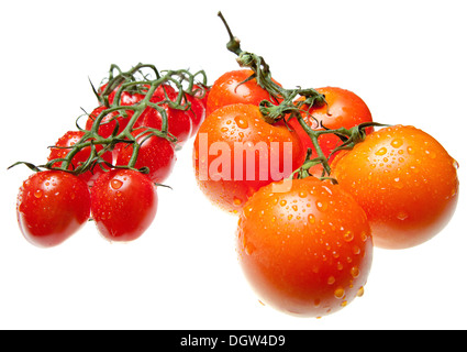 Direction générale des tomates dans les projections d'eau Banque D'Images