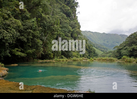 Semuc Champey, dans la région de Alta Verapaz, Guatemala est constitué d'un pont de pierre calcaire naturelle et piscine naturelle. Banque D'Images