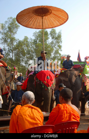 Les éléphants décorés, Mahout assis sous un parasol, des moines bouddhistes regarder Parade, défilé du Festival de l'éléphant, Ban Viengkeo Banque D'Images