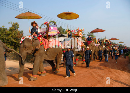 Les éléphants, les Mahouts équitation décorées sous parasol, Défilé du Festival de l'éléphant, Ban Viengkeo, Hongsa, Xaignabouri Province Banque D'Images