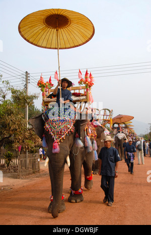 Les éléphants décorés, Mahout circonscription sous parasol, Défilé du Festival de l'éléphant, Ban Viengkeo, Hongsa, Xaignabouri Province Banque D'Images