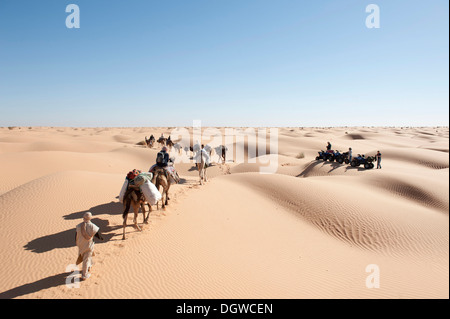 Tourisme durable, trekking de chameau, chameaux, dromadaires (Camelus dromedarius), caravane rencontrer un groupe de quads, sable Banque D'Images