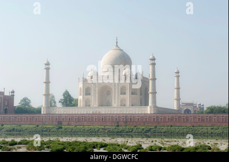 Taj Mahal, vue arrière sur la rivière Yamuna, Agra, Uttar Pradesh, Inde, Asie du Sud, Asie Banque D'Images