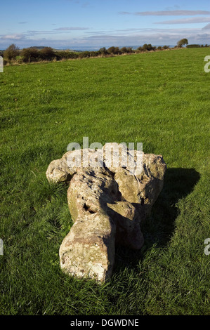 Kingston Russell fin du Néolithique ou au début de l'âge du Bronze près du cercle de pierre, Dorset, UK Portesham Banque D'Images