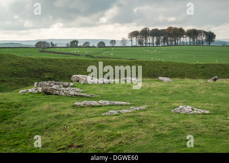 Cercle de pierres d'Arbor, néolithique henge monument, parc national de Peak District, Derbyshire, Angleterre, Royaume-Uni Banque D'Images