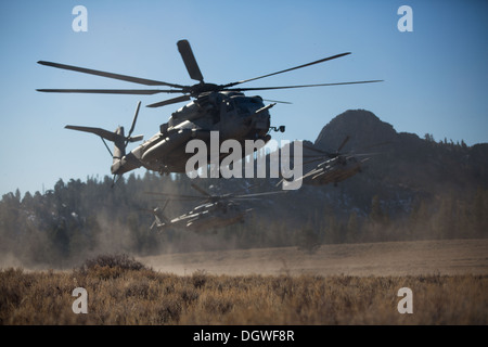 Trois Corps des Marines américains CH-53E Super Stallion hélicoptères de transport maritime avec l'Escadron 466 hélicoptères lourds (HMH-466), Marine Banque D'Images