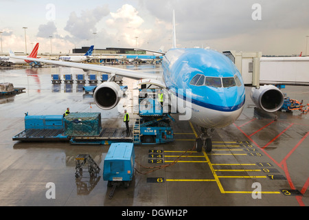 Airbus A330-200 de KLM au cours de la manutention à l'aéroport de Schiphol, Amsterdam, Pays-Bas, Europe Banque D'Images