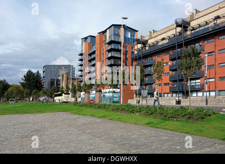 Partie de la Maison des Douanes Quay Gardens améliorations au domaine public scheme le long de la rivière Clyde en Écosse Glasgow centrale Banque D'Images