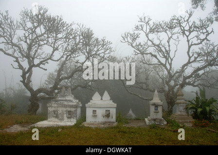 Le bouddhisme et le culte des ancêtres, eery branches dans le brouillard plus graves, Wat Kaew Phongsali, province, Laos, Asie du Sud, Asie Banque D'Images