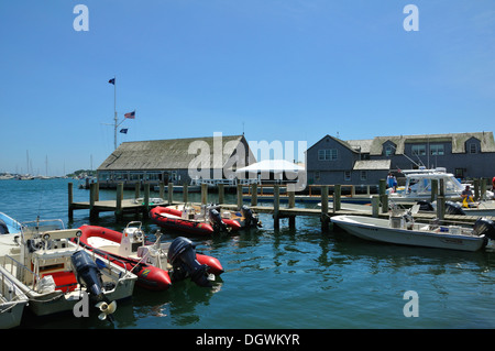 Marina dans Edwardstown, Martha's Vineyard, Massachusetts, USA Banque D'Images