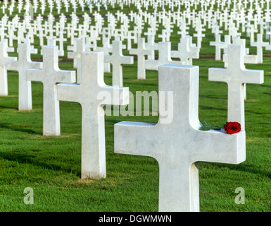 Cimetière Américain de Manille, Fort Bonifacio, rose rouge sur une croix, Manille, Luzon, Philippines Banque D'Images