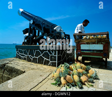 Canon historique à côté d'un vendeur d'ananas sur la rive ouest de la promenade de Galle Face Drive, Fort District, Colombo, Westprovinz Banque D'Images