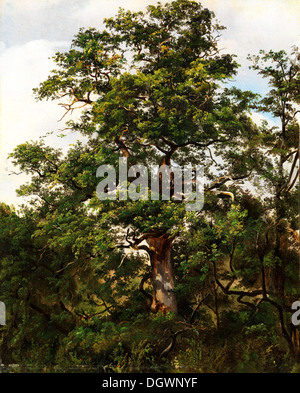 Arbre de chêne - par Wolfgang-Adam Töpffer, 1800 Banque D'Images