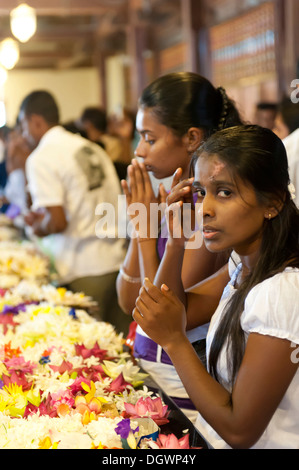 Priant les jeunes femmes assis en face de fleurs, sanctuaire bouddhiste, le Sri Dalada Maligawa, le Temple de la Dent à Kandy, Kandy Banque D'Images