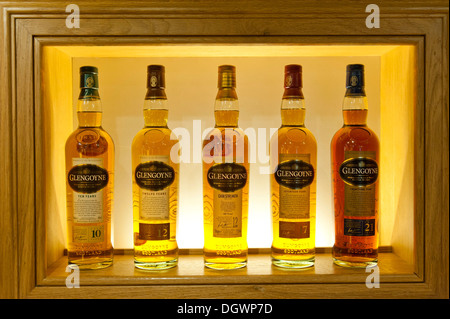 Gamme de Glengoyne Distillery bouteilles de whisky, whiskey Distillery, pays de montagnes, Glengoyne, Schottland, Ecosse Banque D'Images