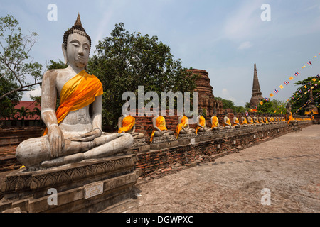 Statues de Bouddha assis dans le jardin de Wat Yai Chai Mongkon, Ayutthaya, Thaïlande, Asie Banque D'Images