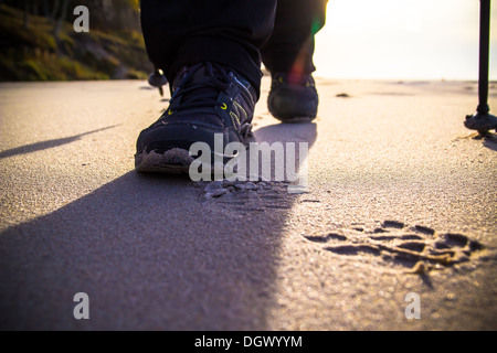 Pieds de cultiver l'homme de la marche nordique sur la plage Banque D'Images