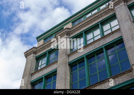 Vue en gros plan d'un bâtiment en briques industrielles Banque D'Images