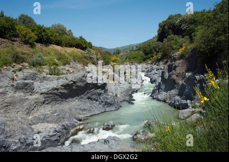 Gole dell'Alcantara, Gole di Larderia, Gorge de l'Alcantara, rivière, Sicile, Italie, Europe Banque D'Images