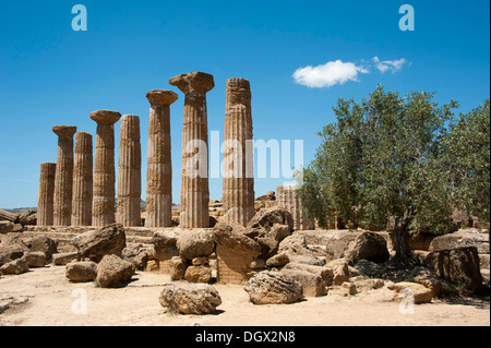 Temple d'Hercule, Vallée des Temples, Agrigente, Sicile, Italie, Europe Banque D'Images